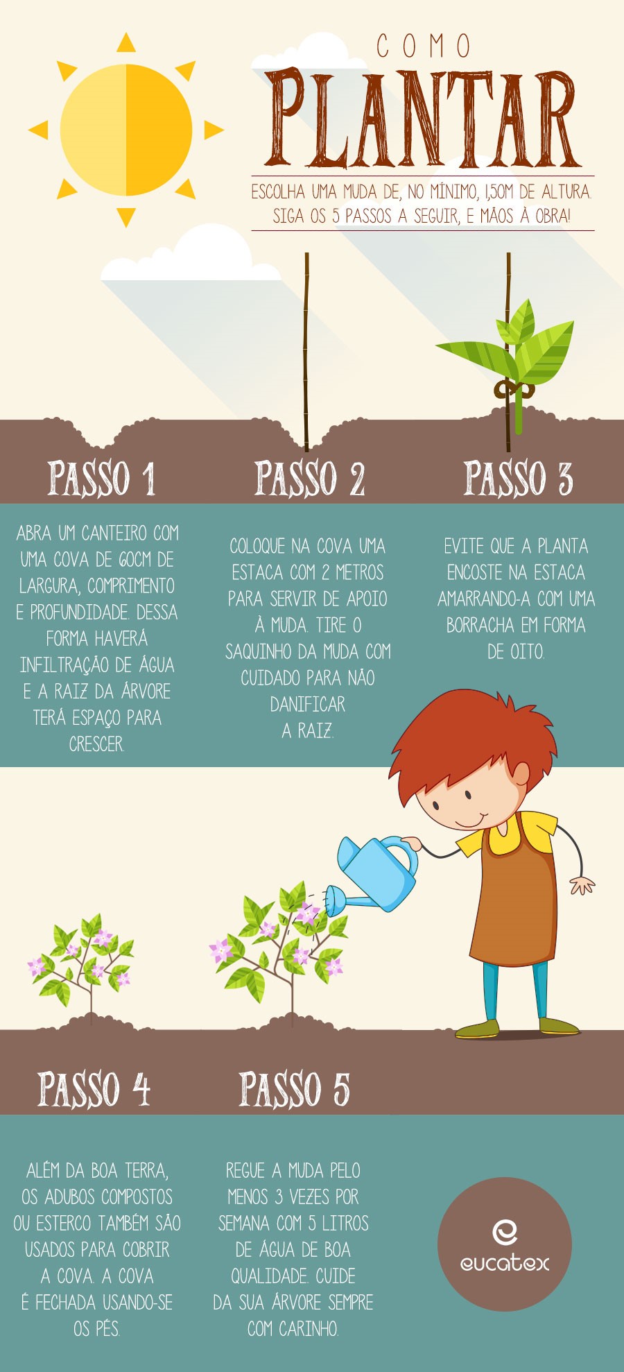 Infografico