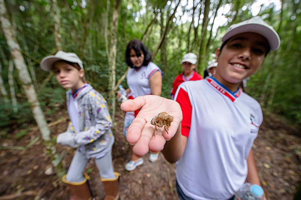 Alunos de escolas da região de Salto e Bofete têm contato direto com os elementos da natureza por meio do PEA