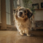 Piso laminado resistente à água: tecnologia Acqua Resist para aproveitar o verão